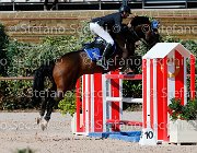 Minardi Gipsy Boy GioCav2013 S5 1965 : Campionati Italiani Giovani Cavalli, Cattolica, Gipsy Boy, Minardi Claudio, ph Stefano Secchi ©